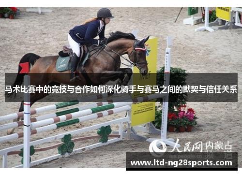 马术比赛中的竞技与合作如何深化骑手与赛马之间的默契与信任关系