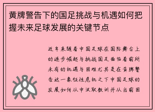黄牌警告下的国足挑战与机遇如何把握未来足球发展的关键节点